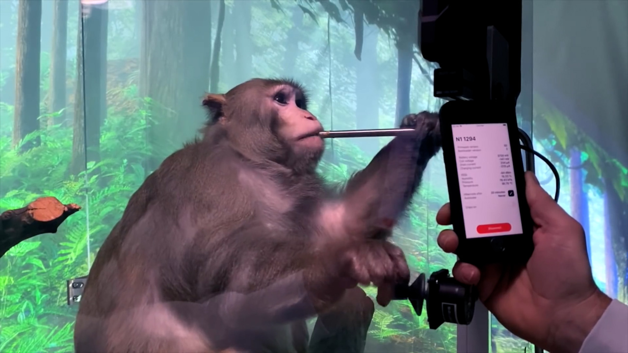 Recently Neuralink proved that a monkey could use it to type on a keyboard